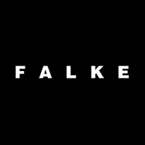 FalkeFalke