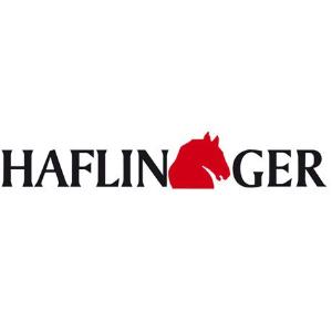Brand image: Haflinger
